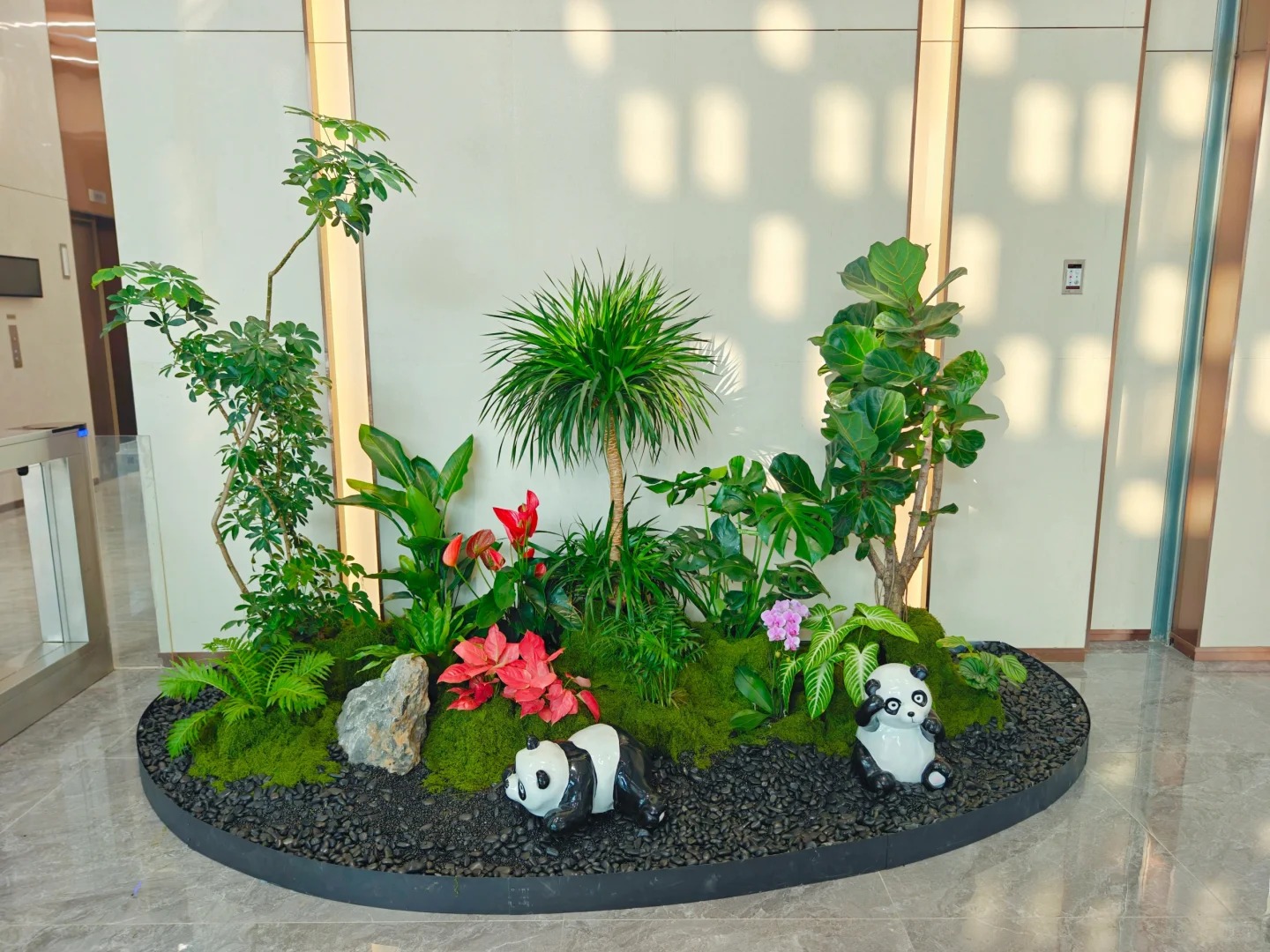 了解慈溪绿植出租，为环境增添盎然绿意