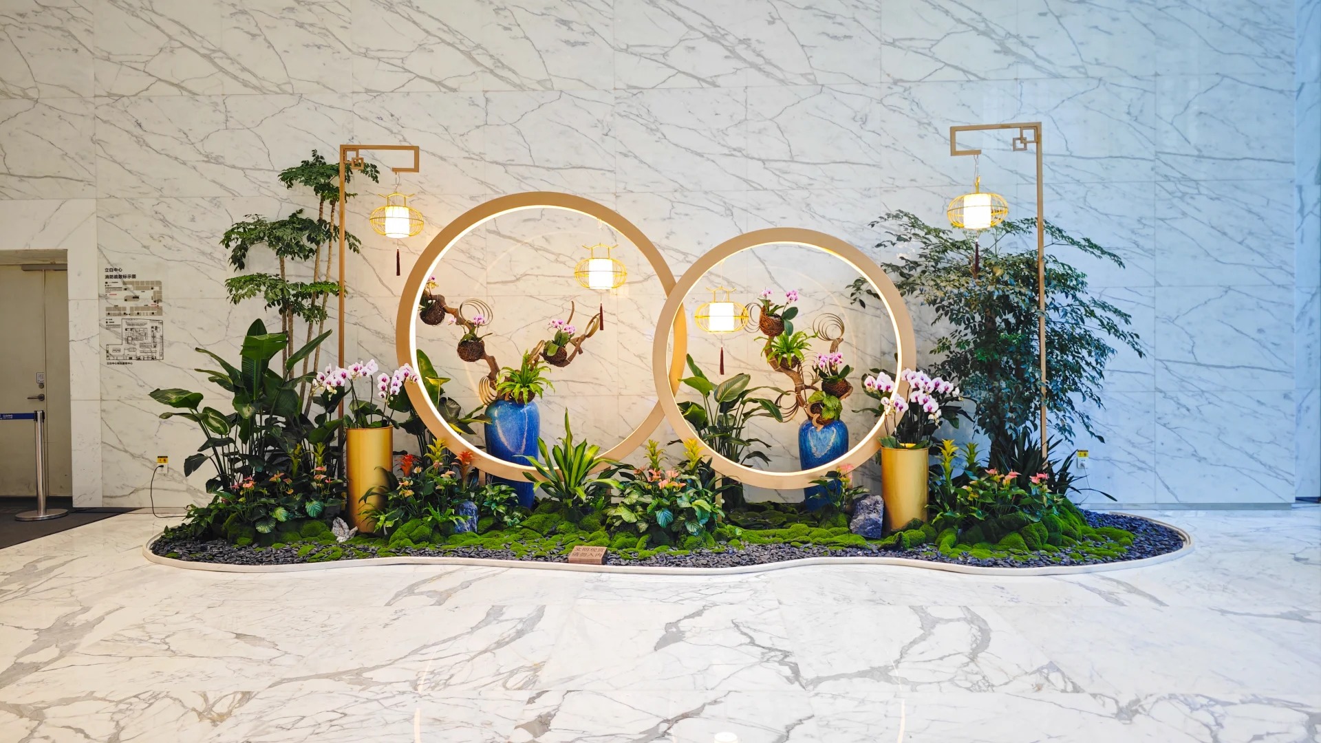 了解慈溪绿植出租，为环境增添盎然绿意